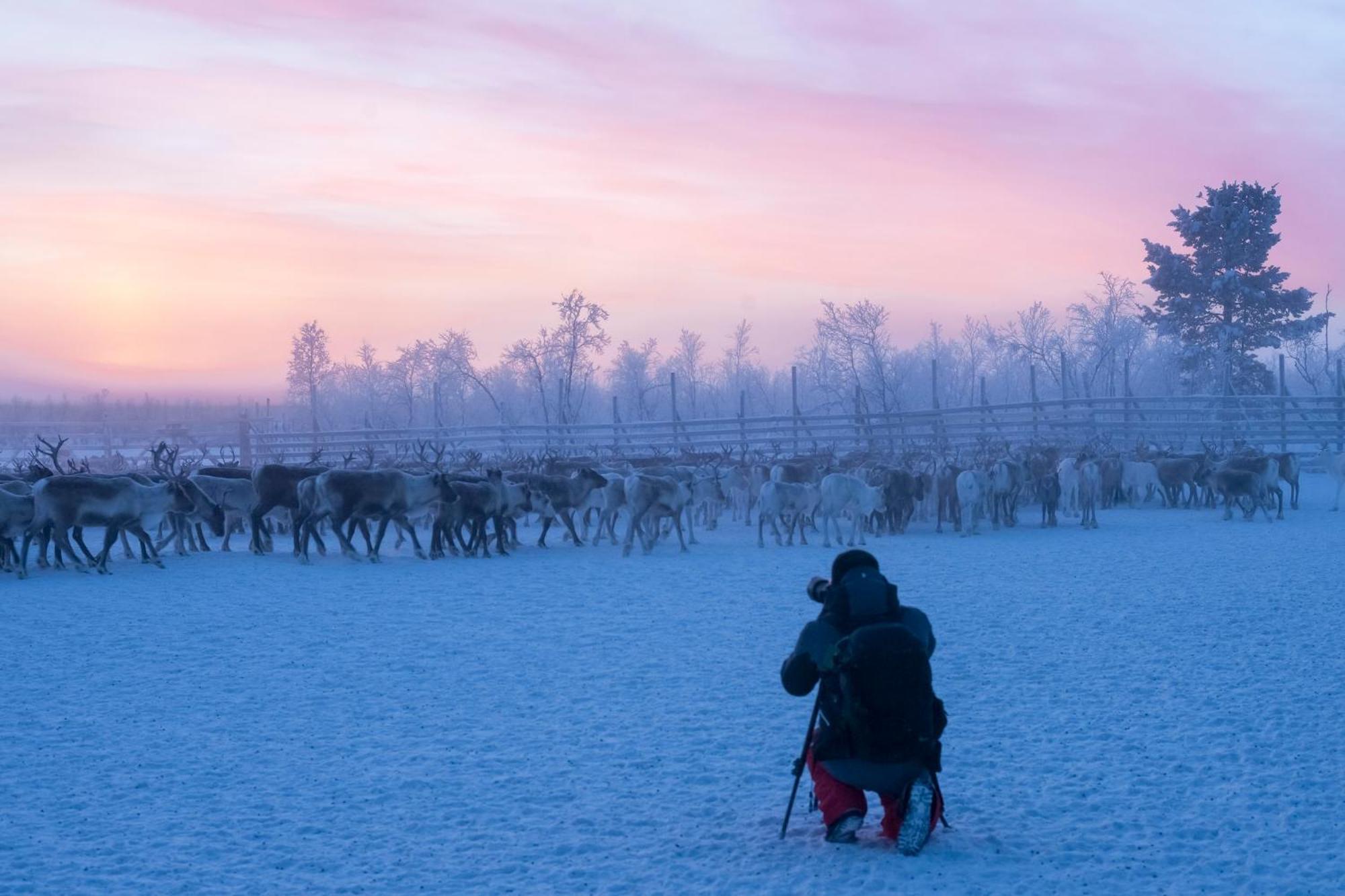 Nivunki Village Муонио Экстерьер фото