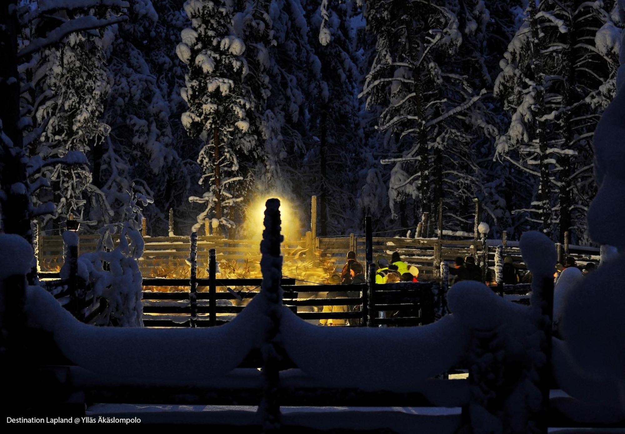 Nivunki Village Муонио Экстерьер фото